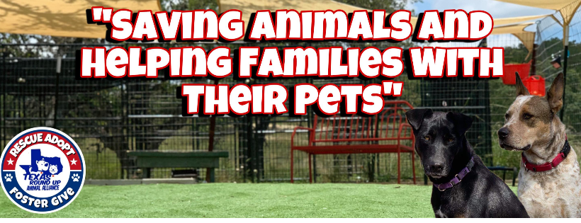 Texas Round Up Animal Alliance