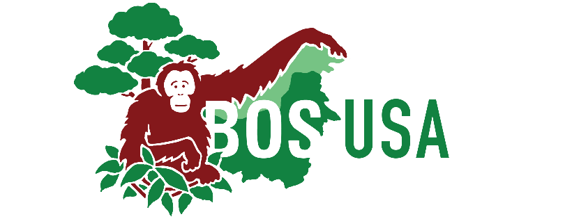 Borneo Orangutan Survival (BOS) USA