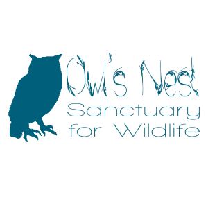 Owl’s Nest Sanctuary for Wildlife Logo