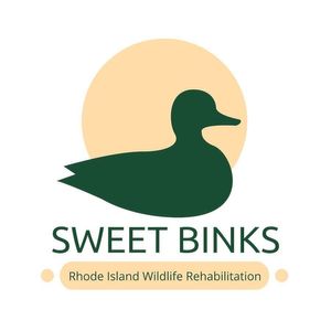 Sweet Binks Rescue, Inc.