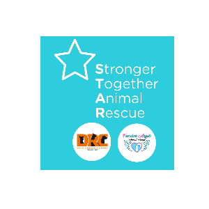 Stronger Together Animal rescue