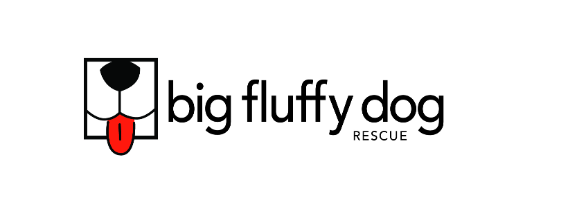 Big Fluffy Dog Rescue
