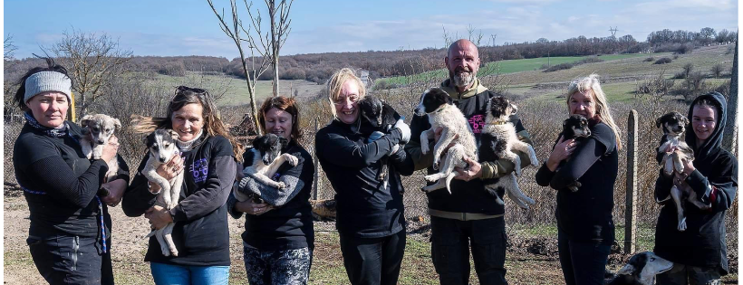 LovePawz Animal Rescue