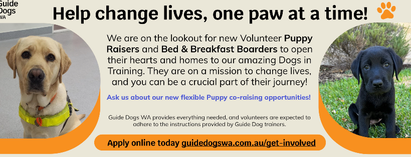 Guide dogs WA