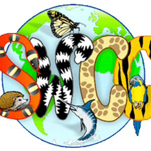 Shepreth Wildlife Conservation Charity