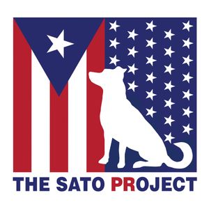 The Sato Project Logo