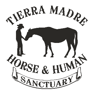 Tierra Madre Horse & Human Sanctuary Logo