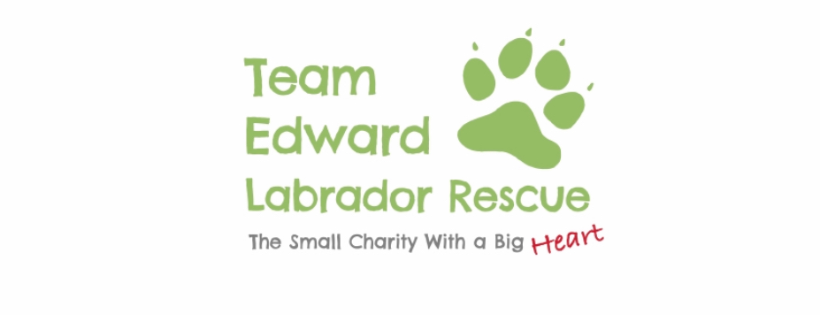 Team Edward Labrador Rescue