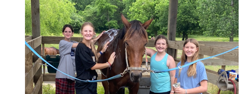 Blue Skies Riding Academy, Inc