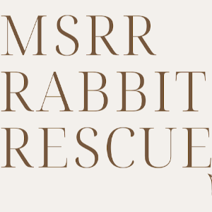 McColl & Son Rabbit Rescue