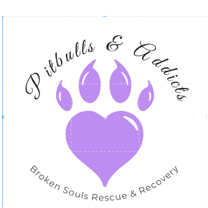 Broken Souls Rescue and Recovery Logo
