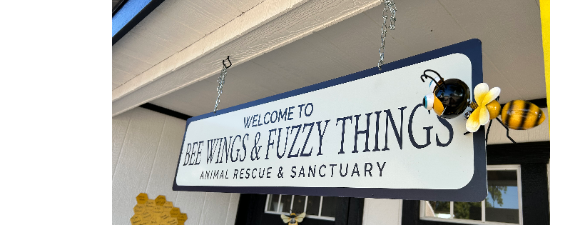Bee Wings & Fuzzy Things