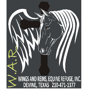 Wings And Reins Logo