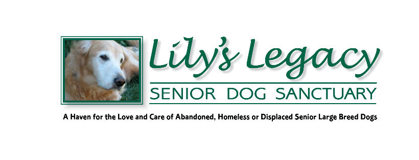 Lily's Legacy Senior Dog Sanctuary