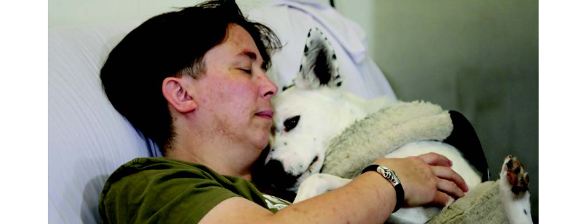 Operation Freedom Paws