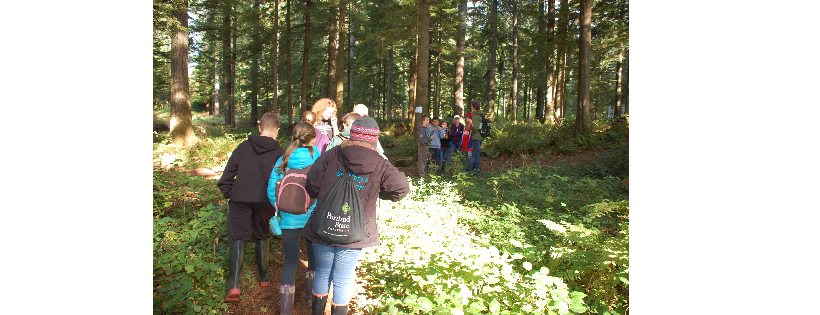 Friends of Outdoor School