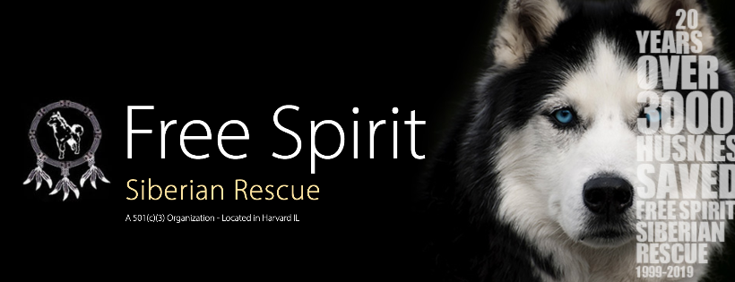 Free Spirit Siberian Rescue