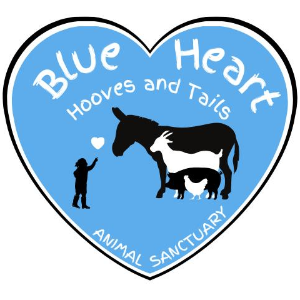 Blue heart hooves and tails animal sanctuary Logo