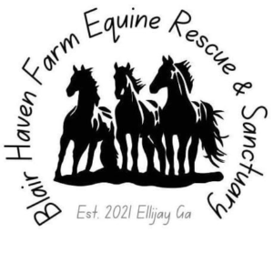 Blair Haven Farm Equine Rescue & Sanctuary Logo