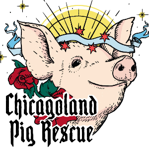 Chicagoland Pig Rescue