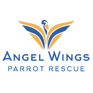 angel wings parrot rescue Logo