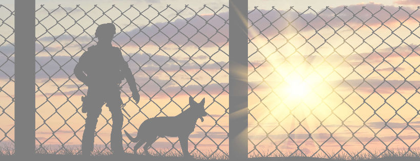 Mission K9 Rescue