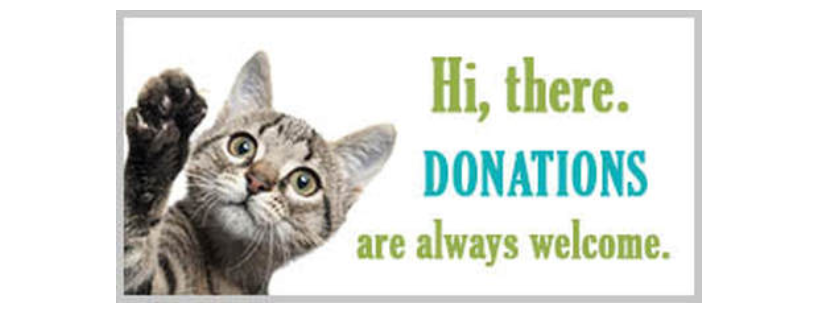 Healing Paws Cat Sanctuary