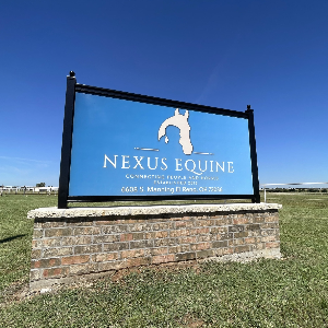 Nexus Equine Logo
