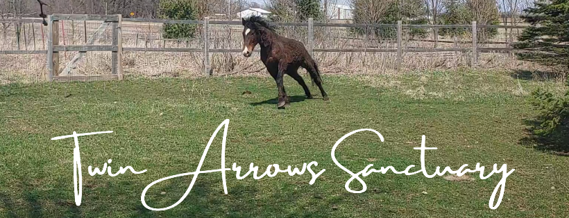 Twin Arrows Sanctuary Corp