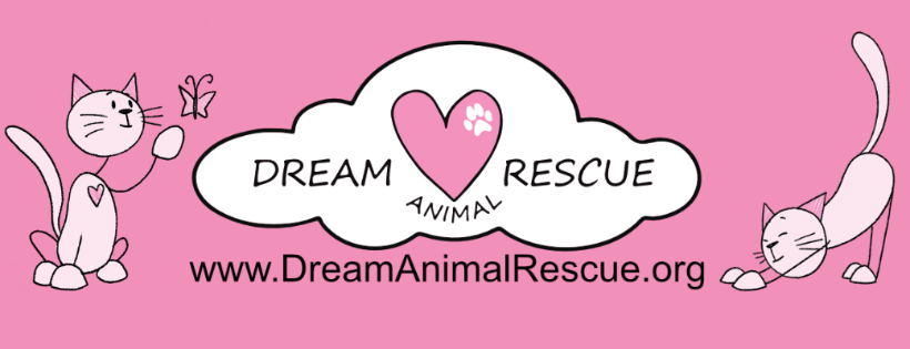 DREAM Animal Rescue