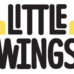 Little Wings Limited Logo