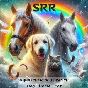 Soquilichi Rescue Ranch Inc Logo