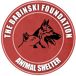The Babinski Foundation Logo