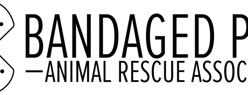 Bandaged Paws Animal Rescue Association