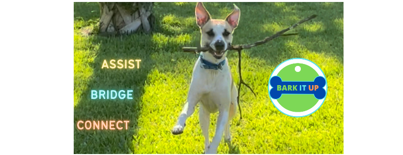 Bark It Up Inc.