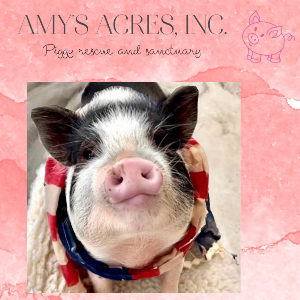 Amy’s Acres Rescue Logo