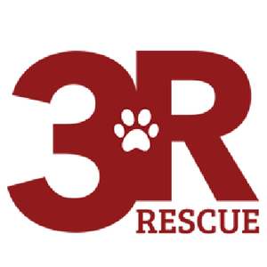 3R Rescue Logo