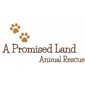 A PROMISED LAND ANIMAL RESCUE, INC