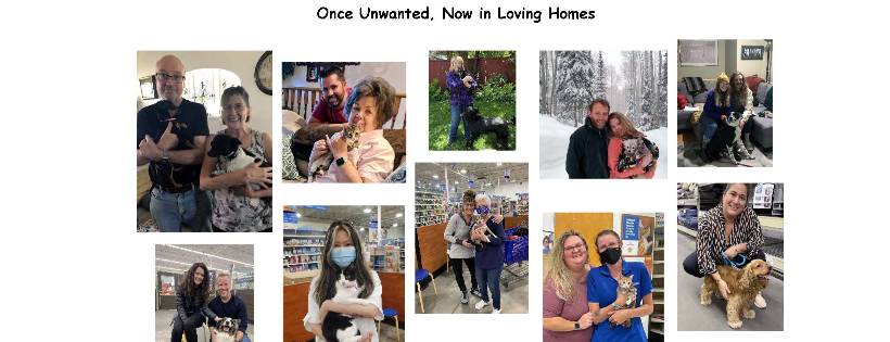 The Utah Animal Advocacy Foundation