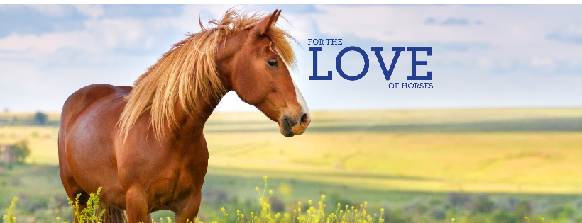 EQUUS Foundation