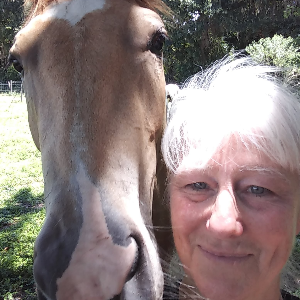 Windwalker Sanctuary and horse rescue Logo