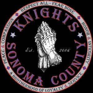 12 Step Knights Logo