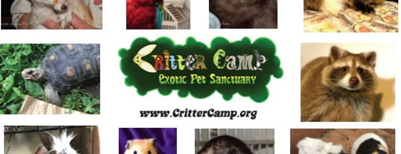 Critter Camp