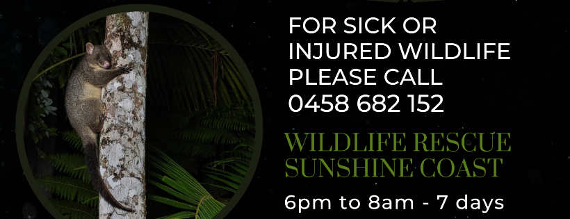 Wildlife Rescue Sunshine Coast Inc