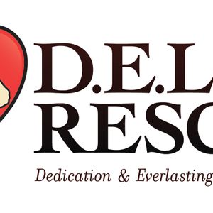 Dedication and Everlasting Love to Animals Logo