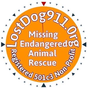 LOST DOG 911