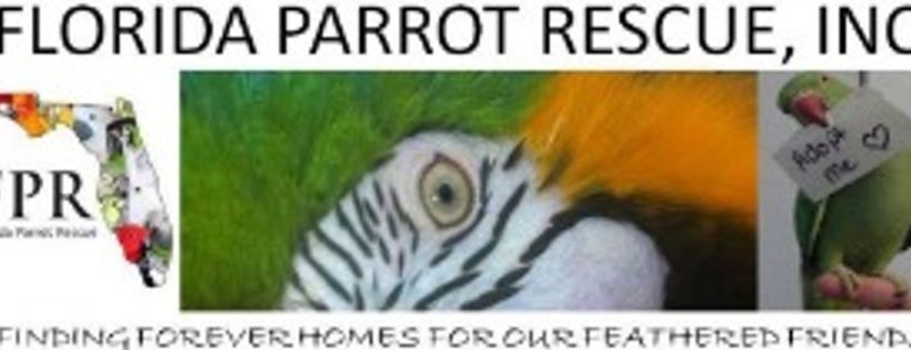 Florida Parrot Rescue