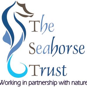 The Seahorse Trust Logo