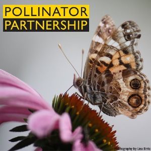 Pollinator Partnership Logo