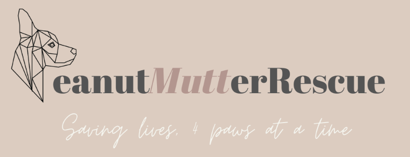 Peanut Mutter Rescue